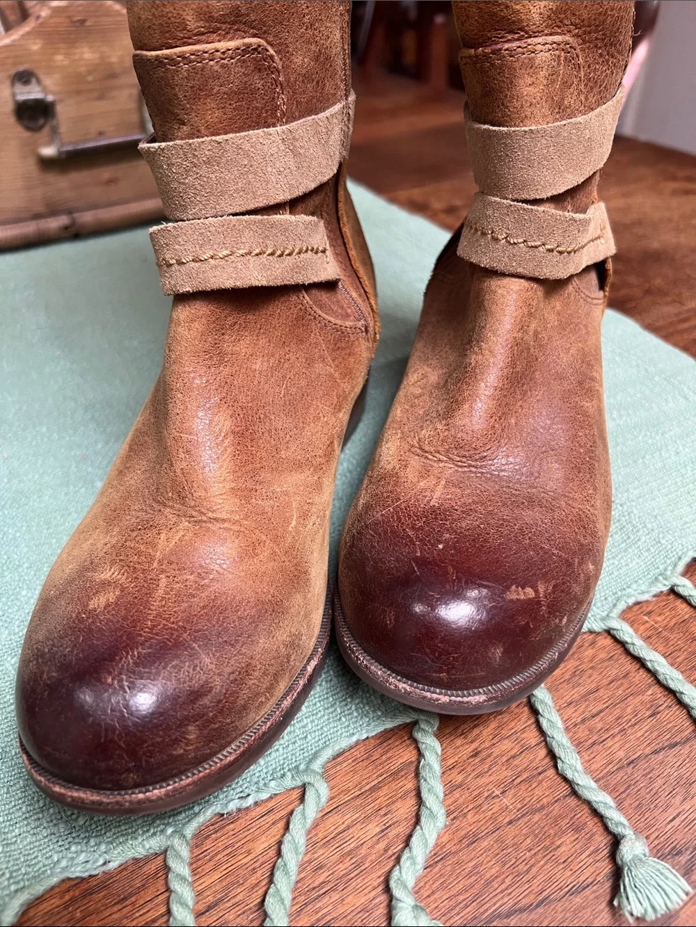 UGG Darcie Tall Riding Boots